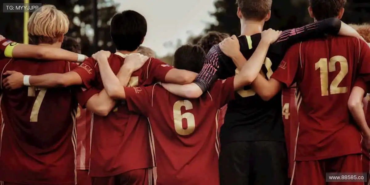 高清直播,身临其境!🎥🌍